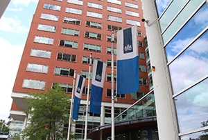 Overheid